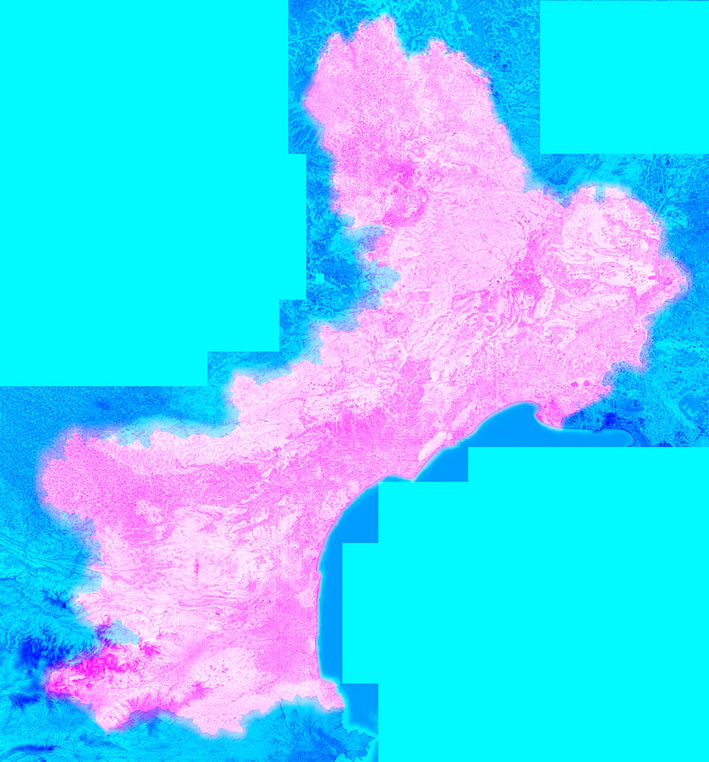 1354810341.jpg
