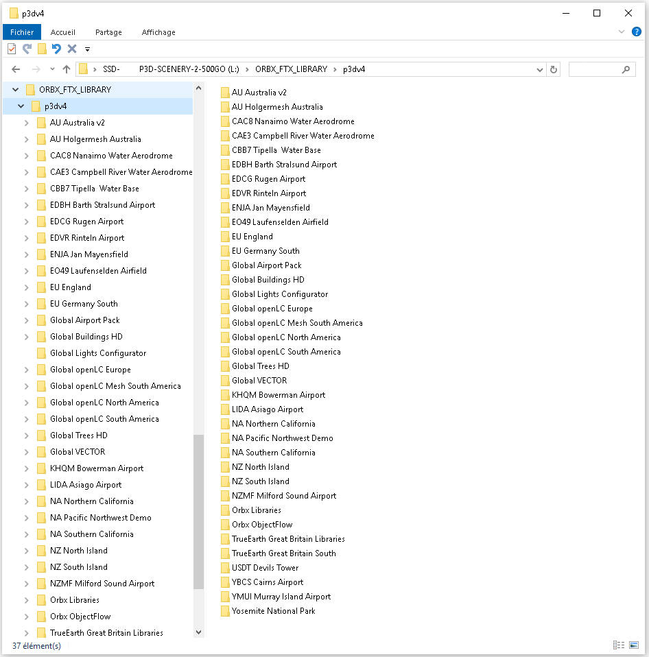 http://www.pilote-virtuel.com/img/members/11696/Disk-Libr-ORBX-FTX.PNG