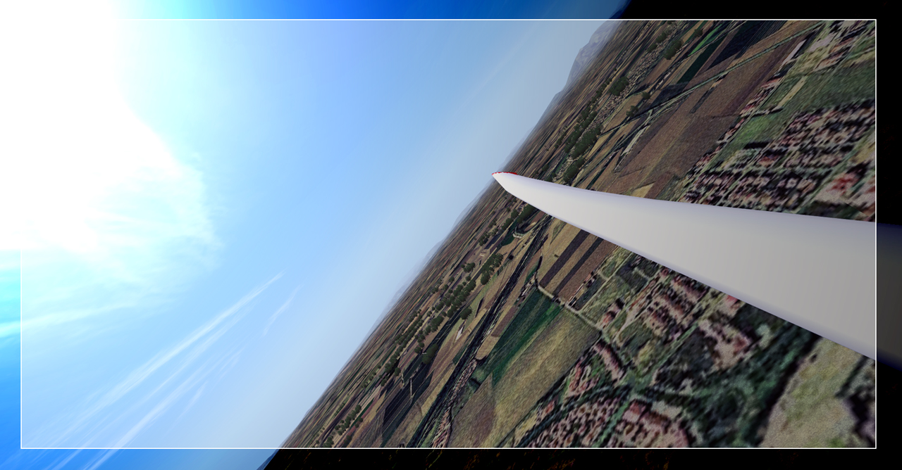 Condor-3.jpg