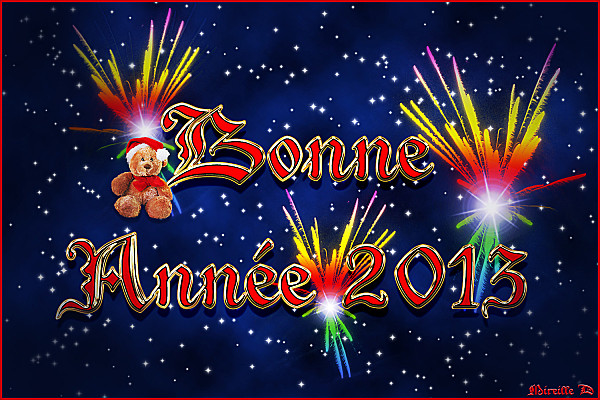 http://www.pilote-virtuel.com/img/members/213/Bonne-Annee-2013.jpg