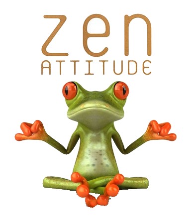 http://www.pilote-virtuel.com/img/members/213/zen-attitude.jpg