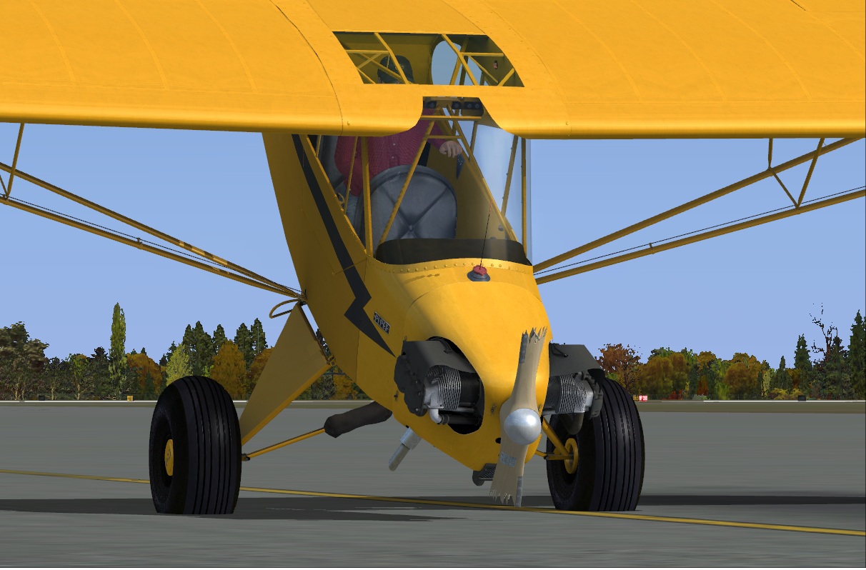 http://www.pilote-virtuel.com/img/members/2581/Piper-Cub.jpeg