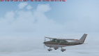 mini_bug01.jpg
