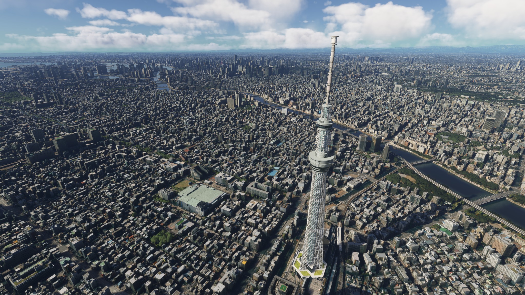 Tokyo6.jpg